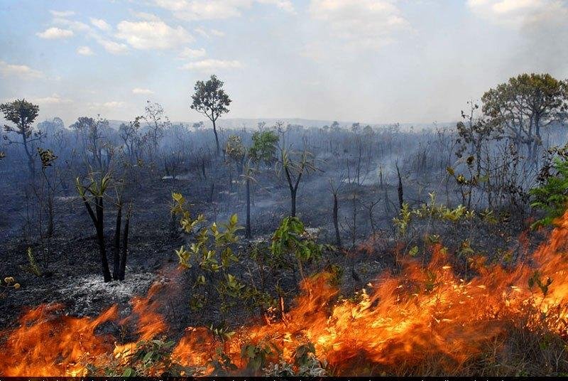 https://jornalnoroeste.com/uploads/images/2019/09/incendio-atinge-vegetacao-proxima-a-rodovia-pr-463-e-bombeiros-alertam-para-risco-de-queimadas-no-periodo-de-seca-bg-1193-4aced.jpg