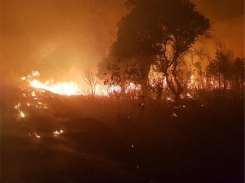 Incêndio atinge vegetação próxima à rodovia PR-463 e Bombeiros alertam...