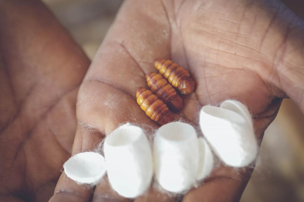 CE do Senado aprova título de Capital Nacional da Seda para Nova...