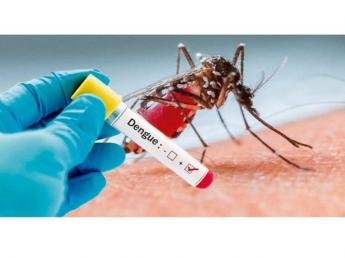 Floraí e Uniflor estão com epidemia de dengue