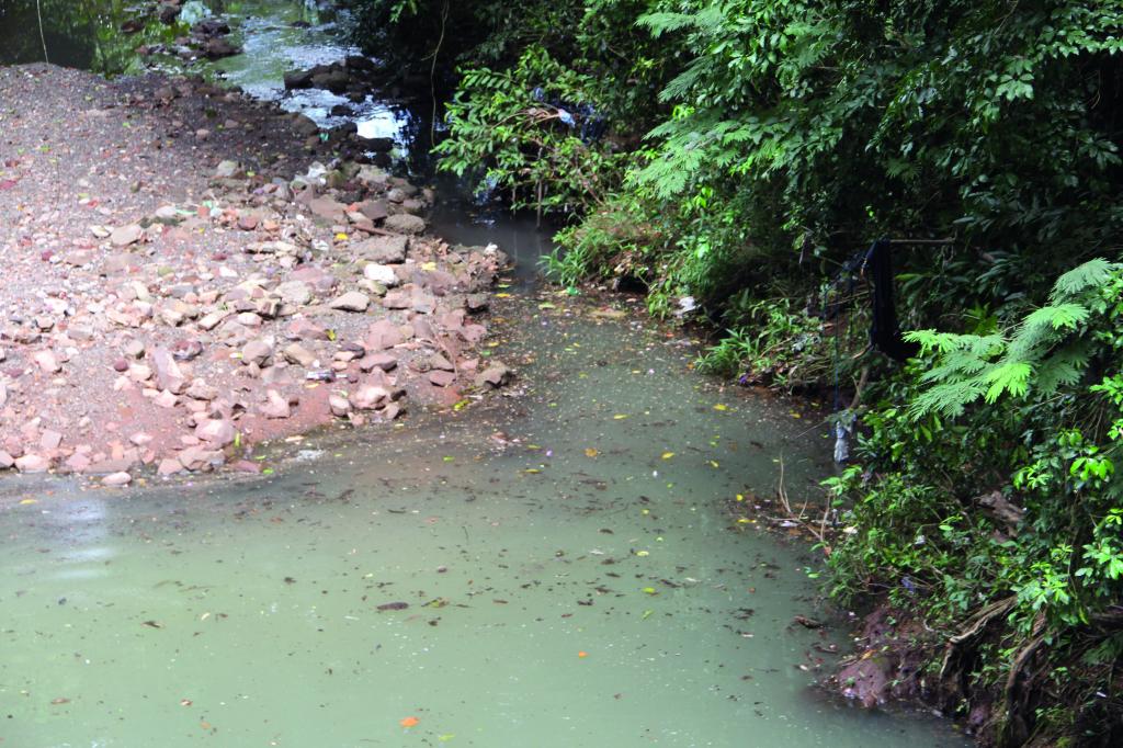 Poluentes chegam até o Ribeirão  Caxangá no Parque das Grevíleas