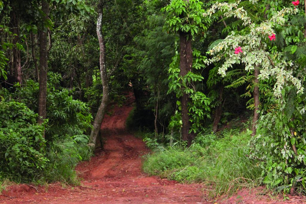 Caminhada ecológica terá pista pavimentada cujas obras começarão em março