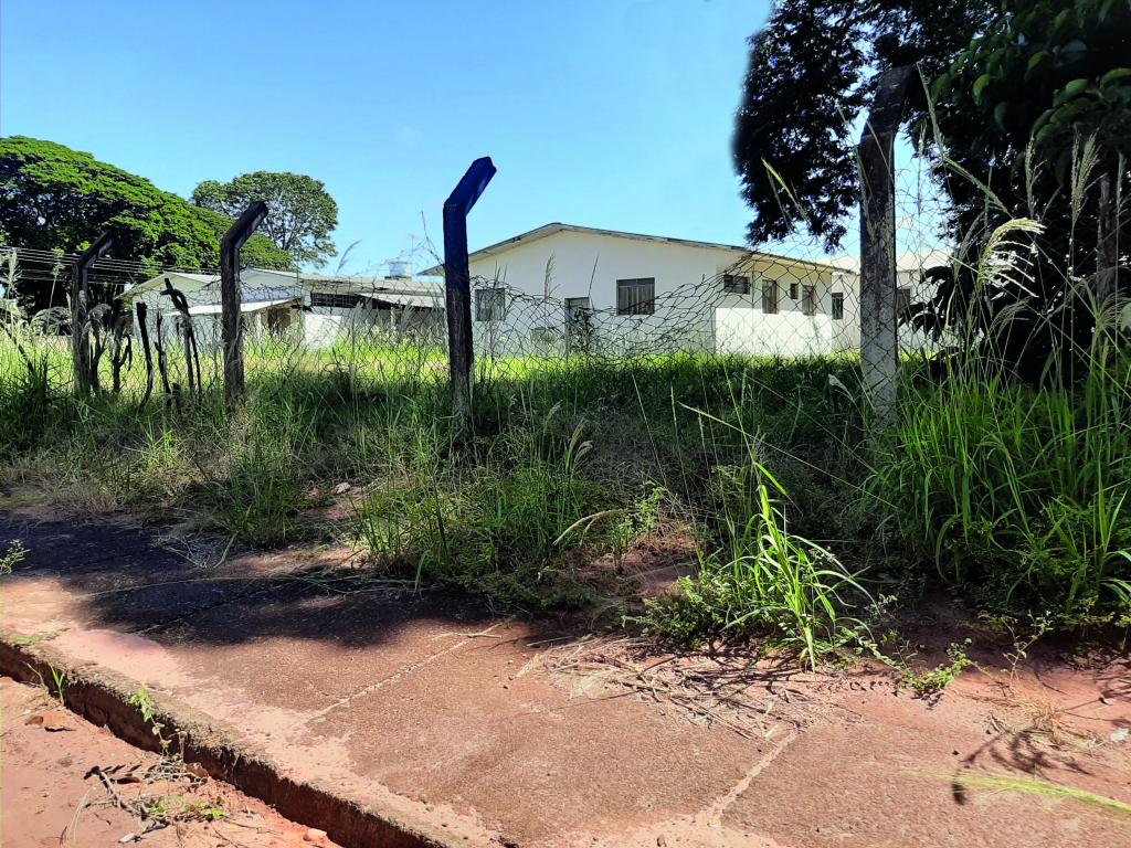 Em Nova Esperança, casos de dengue ‘explodem’ em meio à pandemia do...