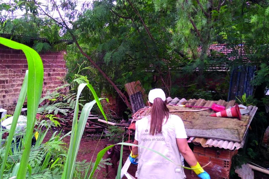 Estado soma 102,2 mil  casos de dengue e 78 óbitos