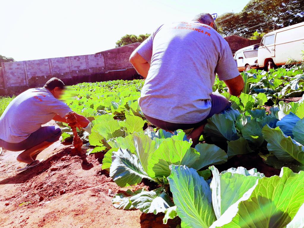 Laborterapia na Cadeia Pública de Nova Esperança ajuda na ressocialização dos presos