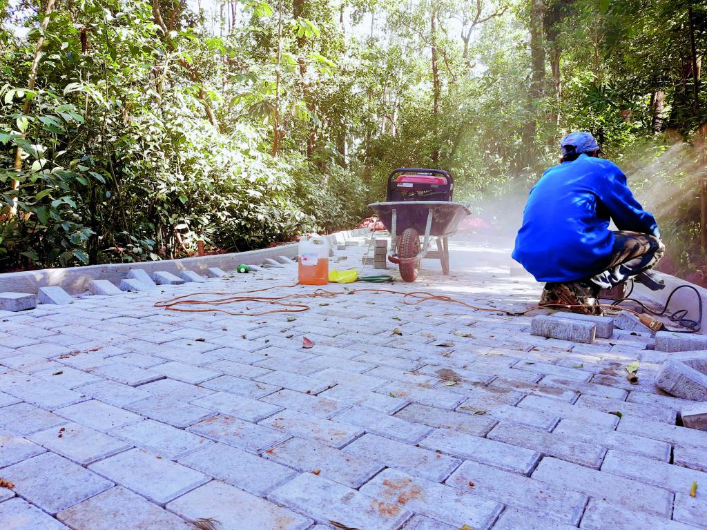 Pista pavimentada dentro do Parque das Grevíleas já está sendo construída