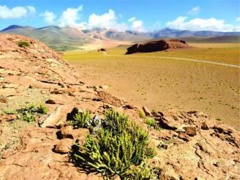 Deserto do Atacama: o milagre da natureza em nos ensinar