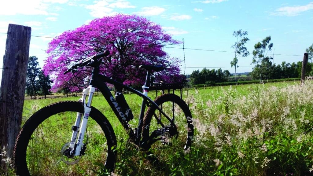 https://jornalnoroeste.com/uploads/images/2020/07/ciclismo-rural-cresce-nos-fins-de-semana-e-praticantes-registram-paisagens-encantadoras-bg-2292-364c4.jpg