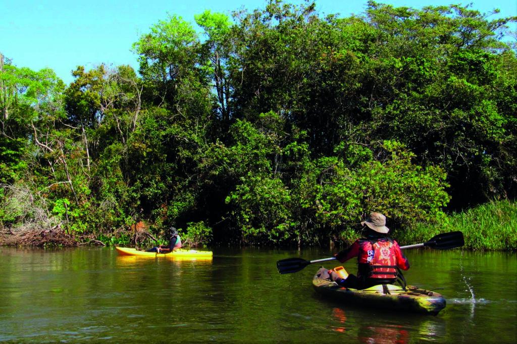 https://jornalnoroeste.com/uploads/images/2020/09/maior-trilha-aquatica-do-brasil-rota-dos-pioneiros-retoma-as-atividades-bg-2618-0d6e8.jpg