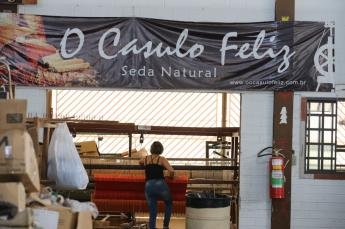 Noroeste busca diversificar produção local de fio de seda