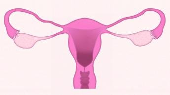 Câncer de colo de útero: campanha alerta para a importância...