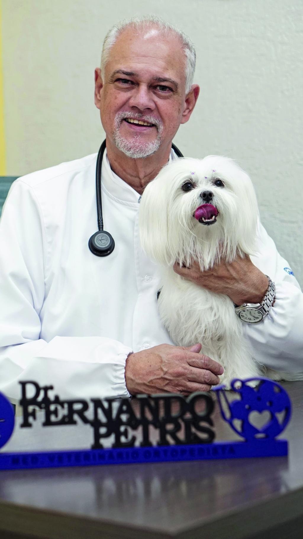 A importância da consulta veterinária e dos exames clínicos para...