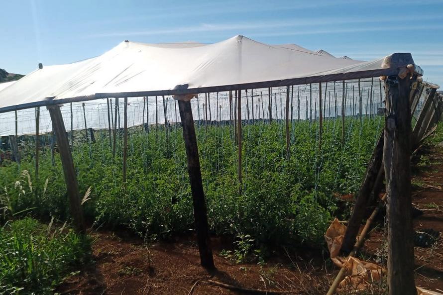 Transferência de renda melhora a produção e a vida de agricultores familiares