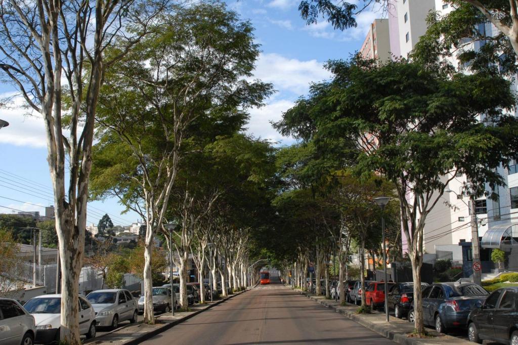 https://jornalnoroeste.com/uploads/images/2021/06/copel-contribui-para-formar-florestas-com-apoio-a-arborizacao-urbana-e-plantio-de-matas-ciliares-bg-3974-cffa4.jpg