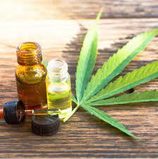 CANNABIS MEDICINAL: Enquanto PL tramita, pacientes acionam Justiça para plantio