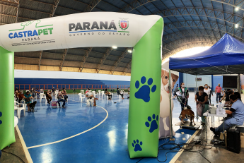 Programa CastraPet Paraná atende mais de 240 animais em Nova...