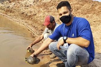 Tartarugas encontradas em estação de tratamento da Sanepar são levadas...