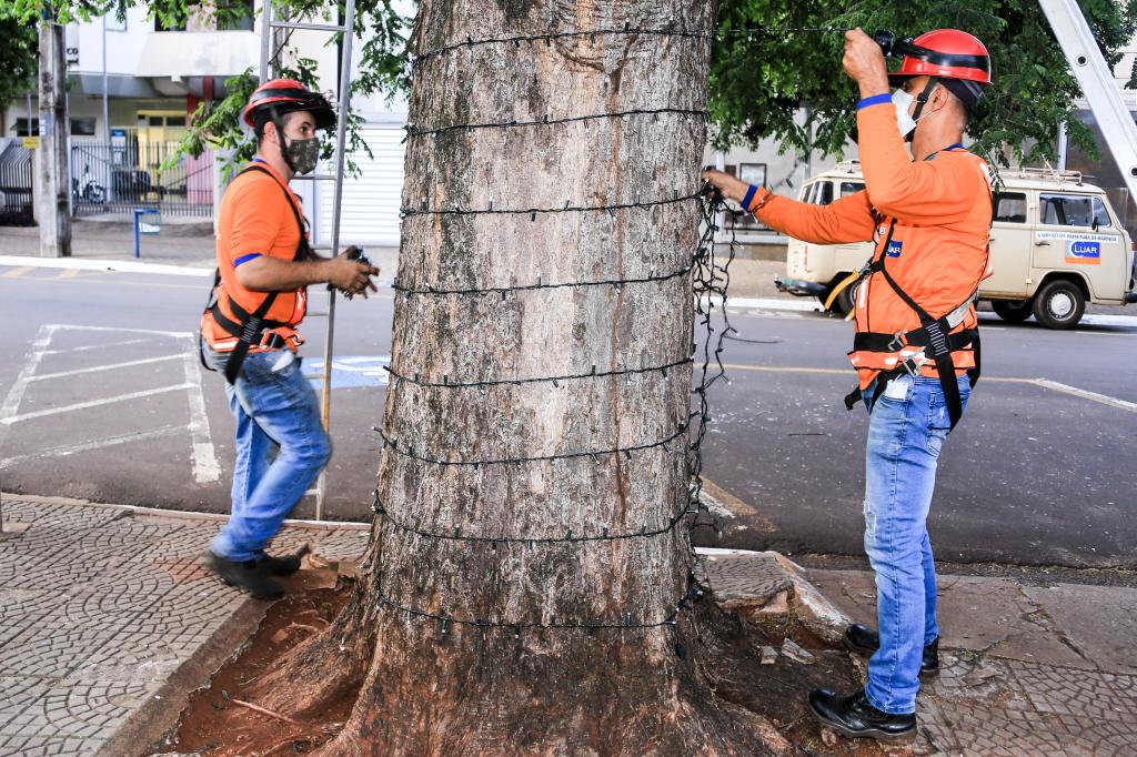 https://jornalnoroeste.com/uploads/images/2021/11/prefeitura-de-maringa-inicia-instalacao-da-iluminacao-de-natal-bg-5129-d06c5.jpg