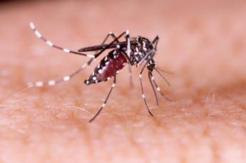 Cuidados com a dengue devem ser intensificados com o verão...