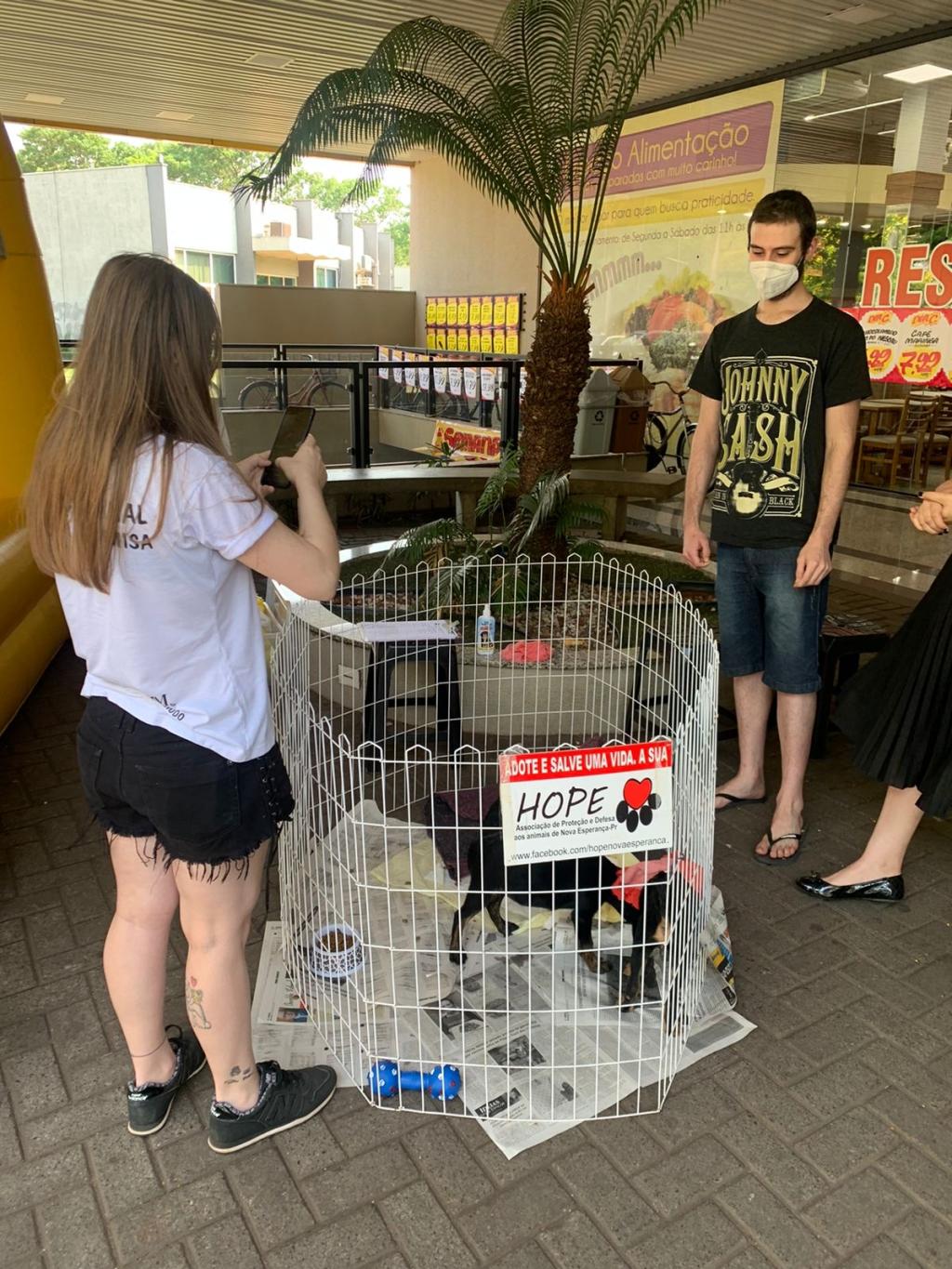 HOPE – Esperança aos animais em situação de violência