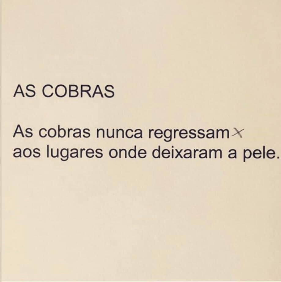 https://jornalnoroeste.com/uploads/images/2022/01/o-que-podemos-aprender-com-as-cobras-bg-5516-86ed2.jpg