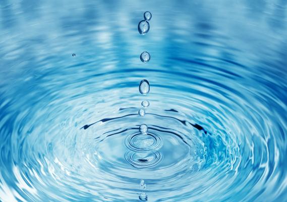 TCE-PR indica 41 medidas ao IAT para garantir preservação dos recursos hídricos