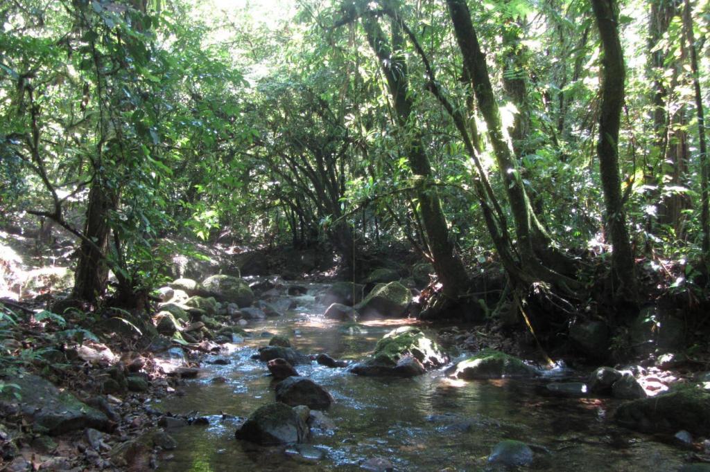 https://jornalnoroeste.com/uploads/images/2022/02/com-315-reservas-particulares-do-patrimonio-natural-parana-e-referencia-em-conservacao-bg-5708-4079f.jpg