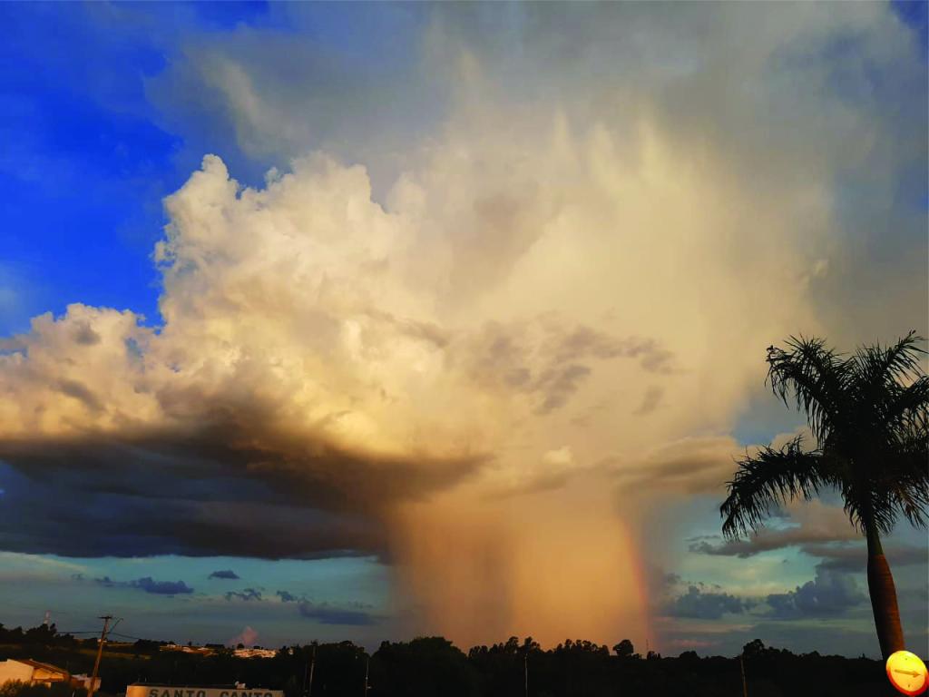 Exposição fotográfica “Rosângela Figueira: Oásis INFOCO”