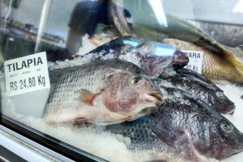 Procon registra diferença de até 221% no preço dos pescados...