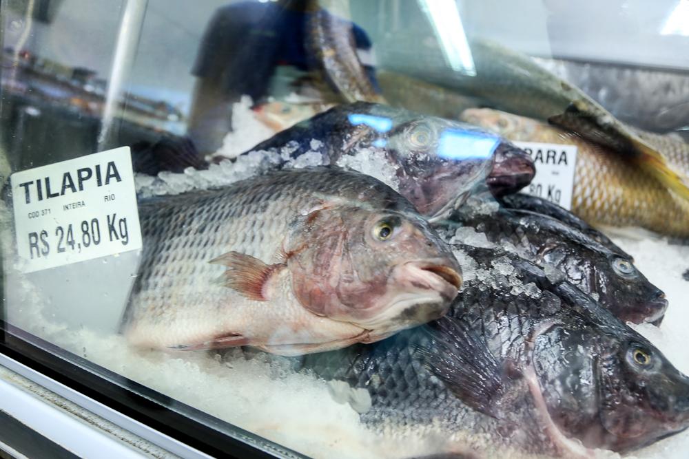 Procon registra diferença de até 221% no preço dos pescados em Maringá