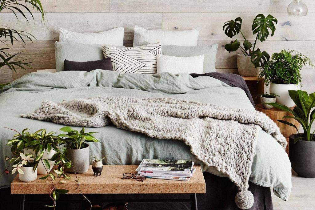 Os erros mais comuns de quem tem plantas em casa