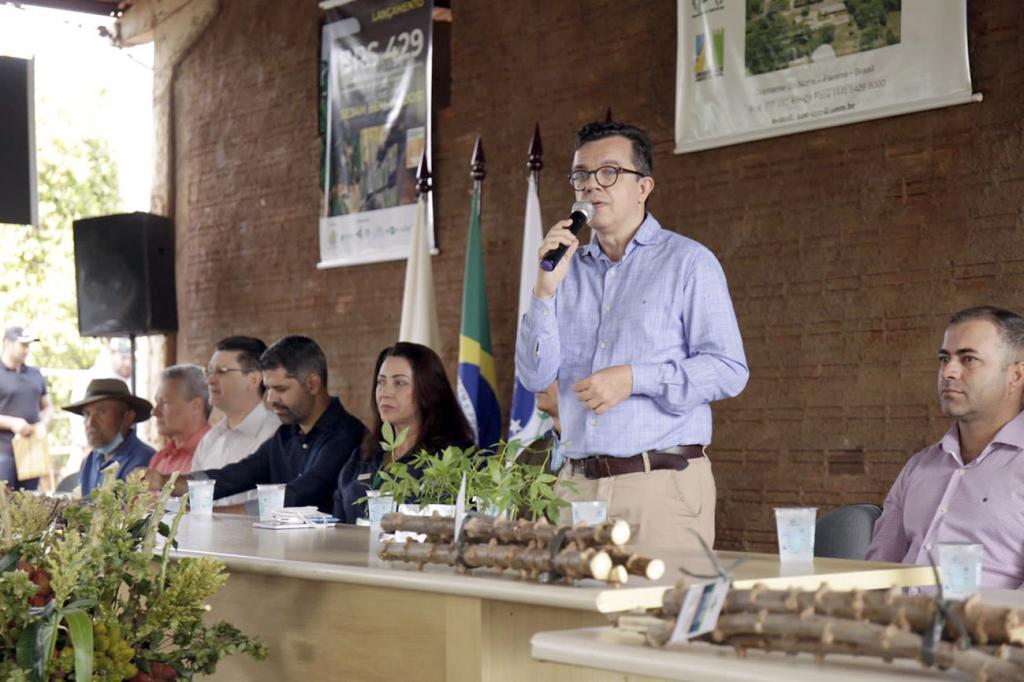 Parceria entre UEM e Embrapa dá origem a nova variedade de mandioca