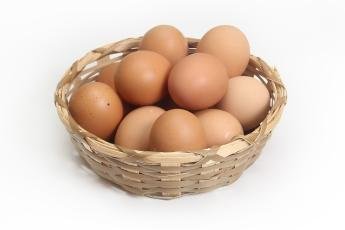 Estudos afirmam que o consumo de ovo na infância ajuda...