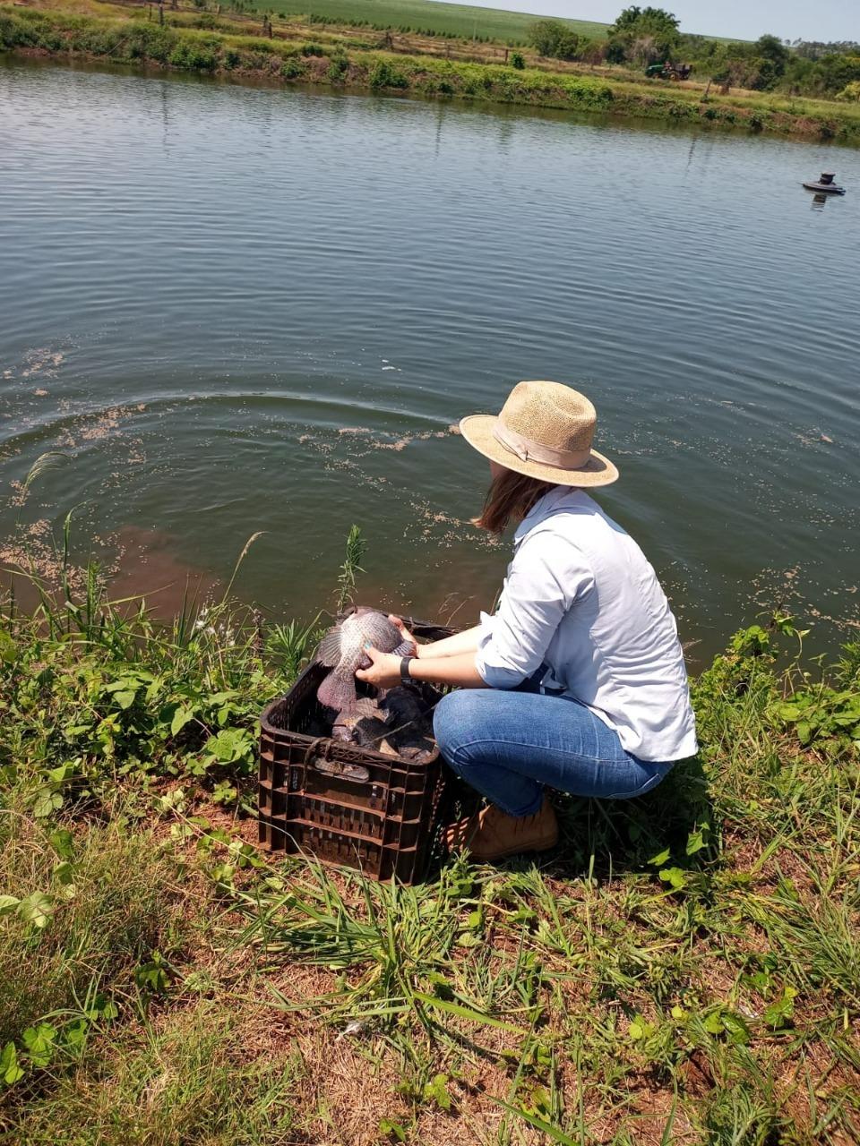 Paraná reforça liderança nacional na produção de peixes de cultivo