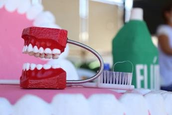 Profissionais de odontologia de Maringá participam da Conferência Municipal de...