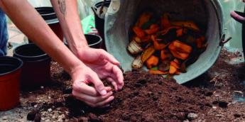 Compostagem doméstica: transformando resíduos em nutrientes valiosos para o solo