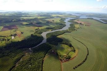 Com amplo reflorestamento, Rio Iguaçu tem maior volume de água...