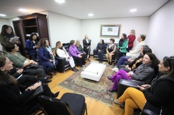 Bancada Feminina da Assembleia e representantes do Judiciário discutem participação...
