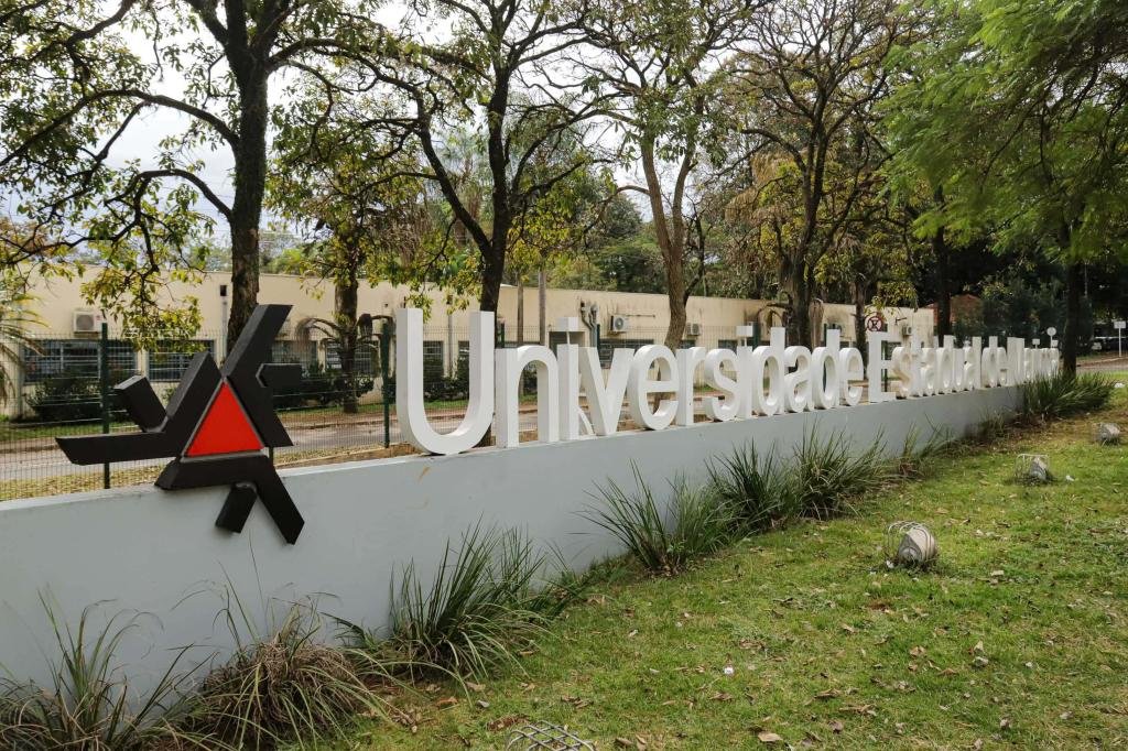 UEM é destaque entre universidades avaliadas por consultoria britânica