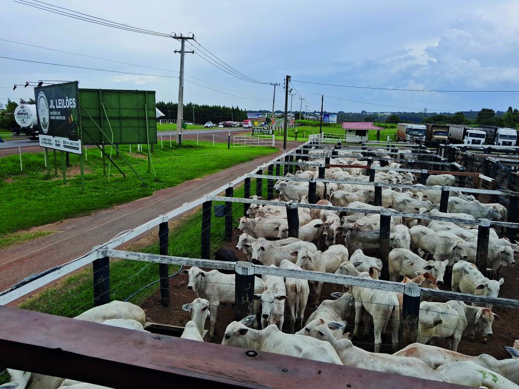https://jornalnoroeste.com/uploads/images/2024/03/almoco-e-leilao-beneficente-prometem-movimentar-nova-esperanca-neste-domingo-em-prol-do-asilo-bg-10384-b5e5f.jpeg
