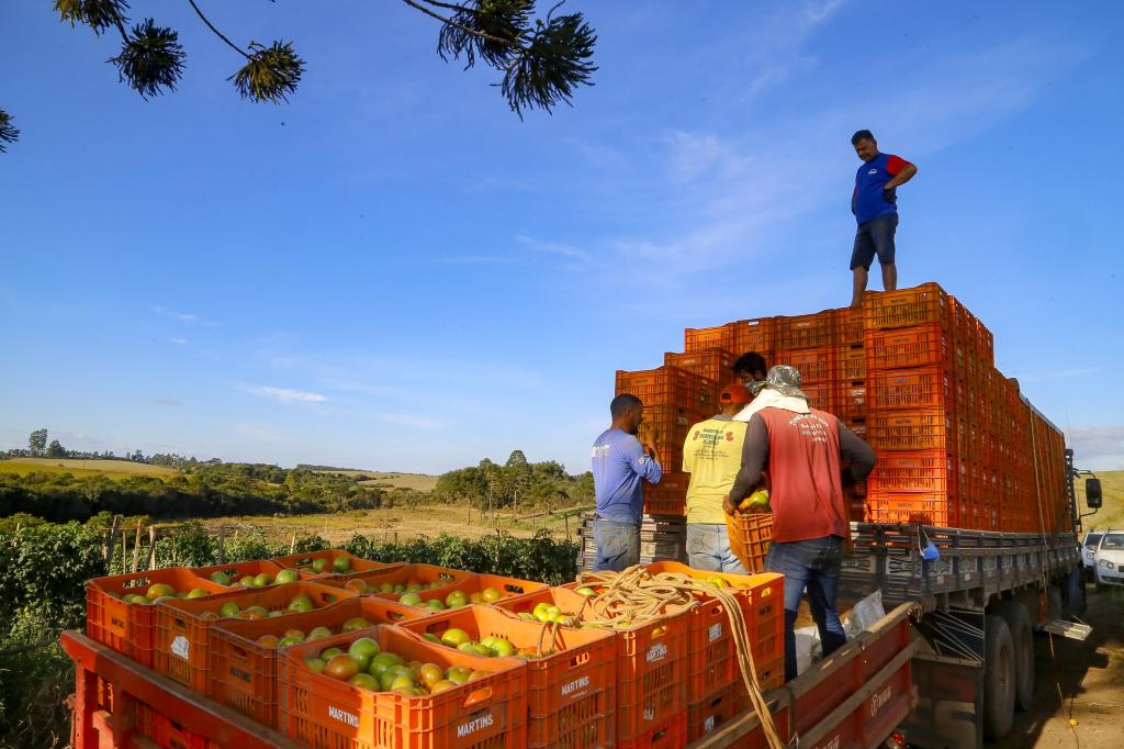 Investimentos do Paraná na agricultura cresceram 344% no primeiro semestre...