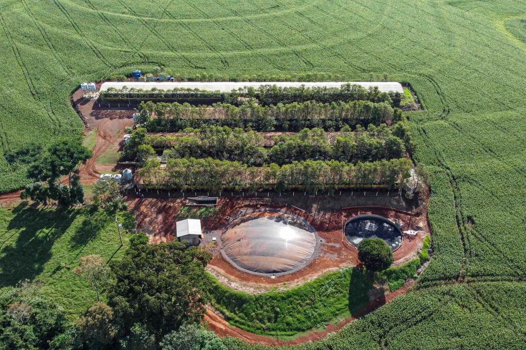 Produção de biogás a partir da suinocultura gera renda extra...