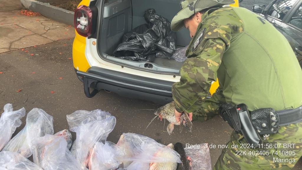 Duas pessoas são presas por pesca ilegal durante a piracema...