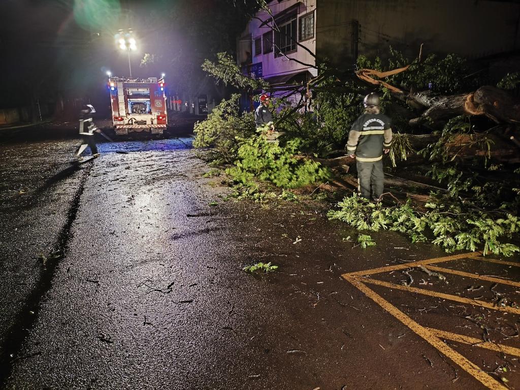 https://jornalnoroeste.com/uploads/images/2025/02/nova-esperanca-chuvas-e-ventos-fortes-provocam-queda-de-arvore-na-avenida-brasil-durante-a-noite-desta-terca-11-bg-13341-aabfa.jpeg