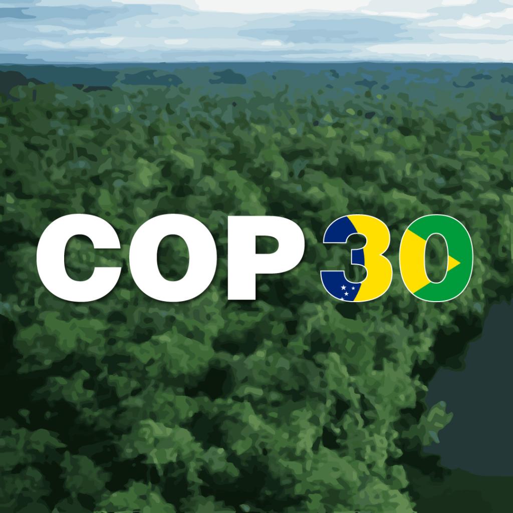 COP30: setor produtivo brasileiro lança movimento de engajamento global para...