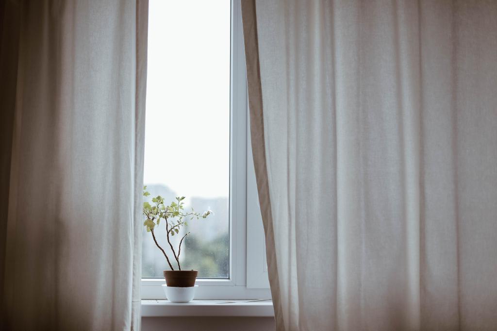 3 Cuidados básicos para manter suas plantas durante o Outono