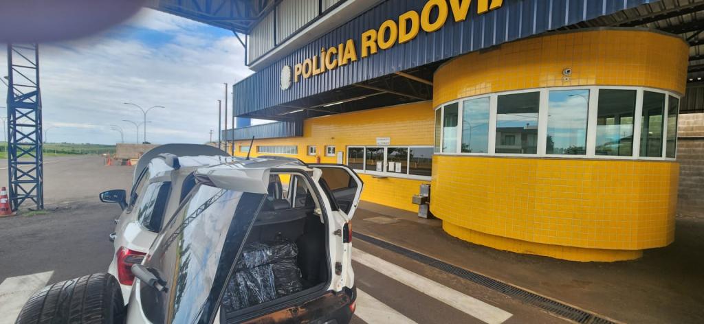 PRF apreende mais de 220 kg de maconha após perseguição...