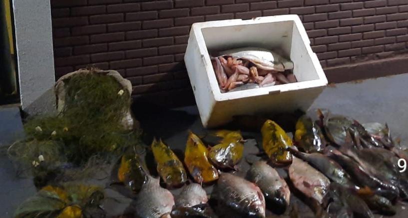 Polícia Ambiental flagra pesca predatória no Rio Ivaí e apreende mais de...