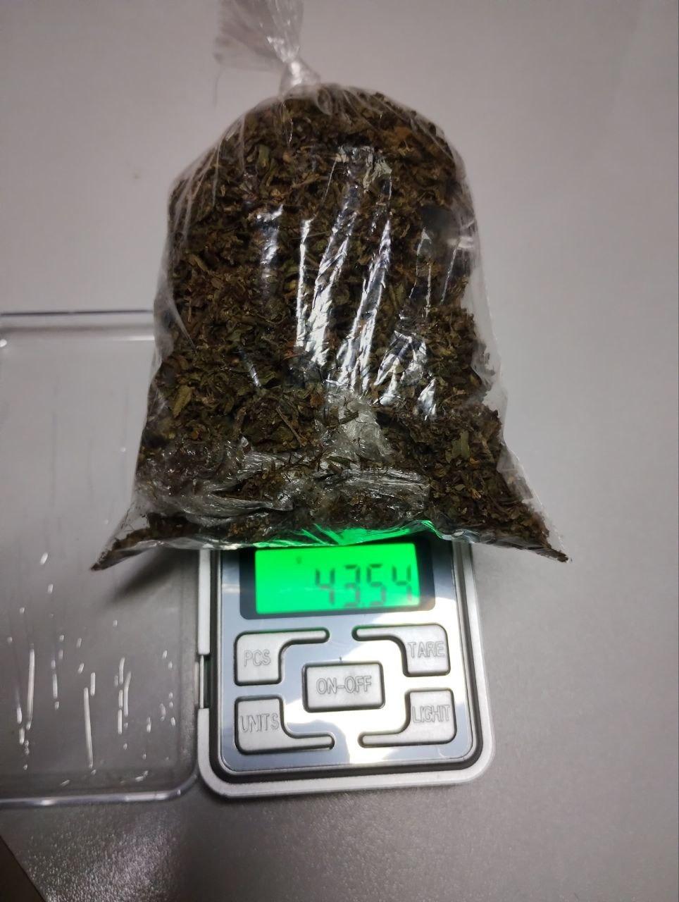 Duas mulheres são detidas com maconha durante patrulhamento da PM