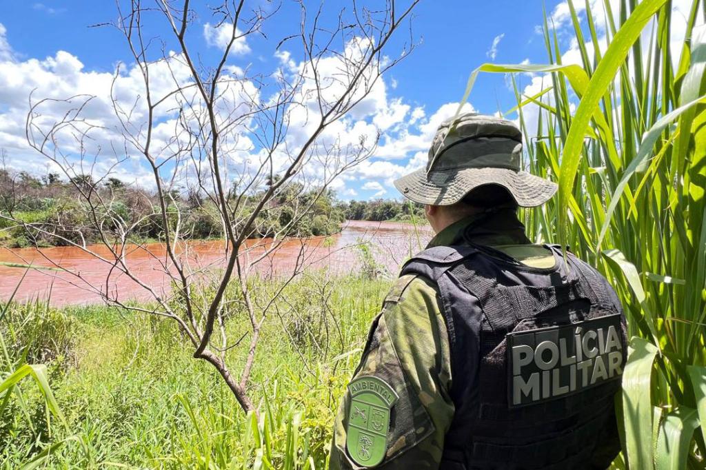 PMPR resgata 216 animais e interrompe desmatamento ilegal de 159 hectares em...